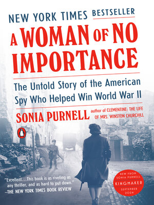 cover image of A Woman of No Importance